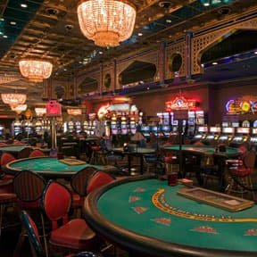 20 bet